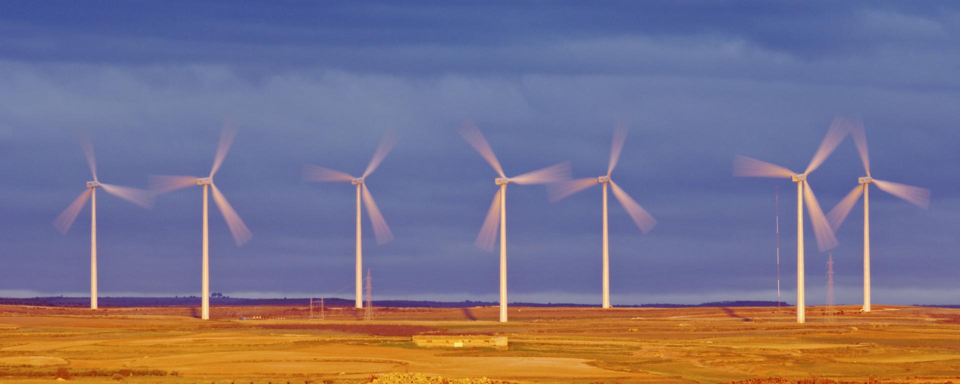 Wind turbines spin in a field of yellow, against a blue sky