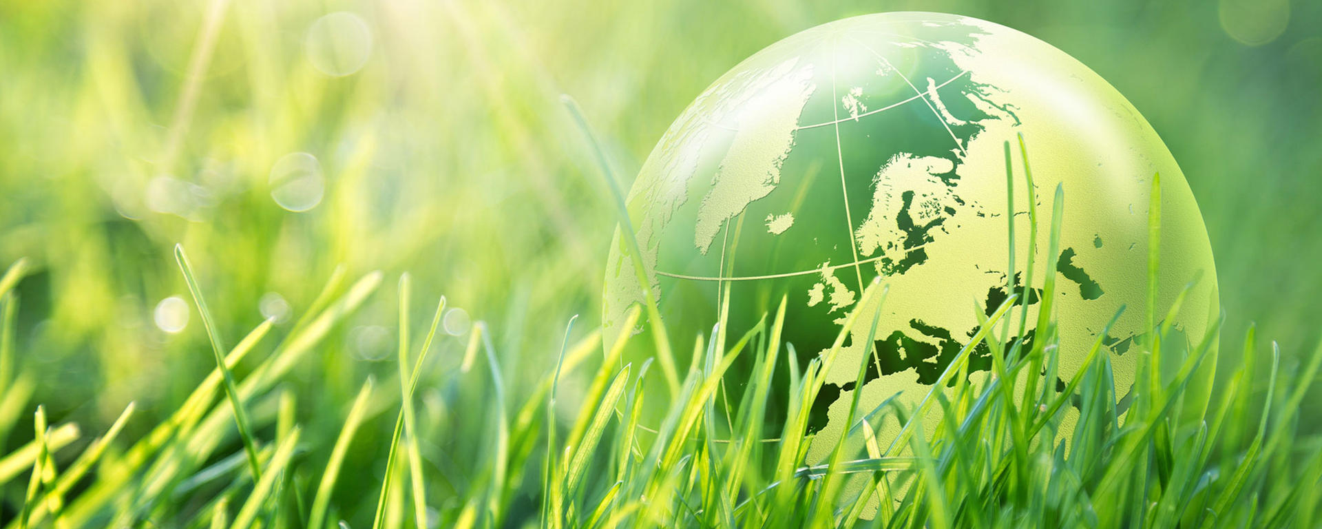 A green globe of the world sits in a field of green grass