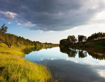 Other publications by CIRL